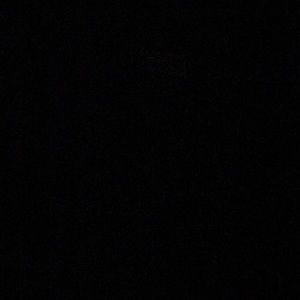 Meet your Posher, Lacey